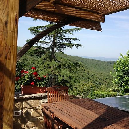 Agriturismo Borgo Nuovo Di Mulinelli Arezzo Luaran gambar