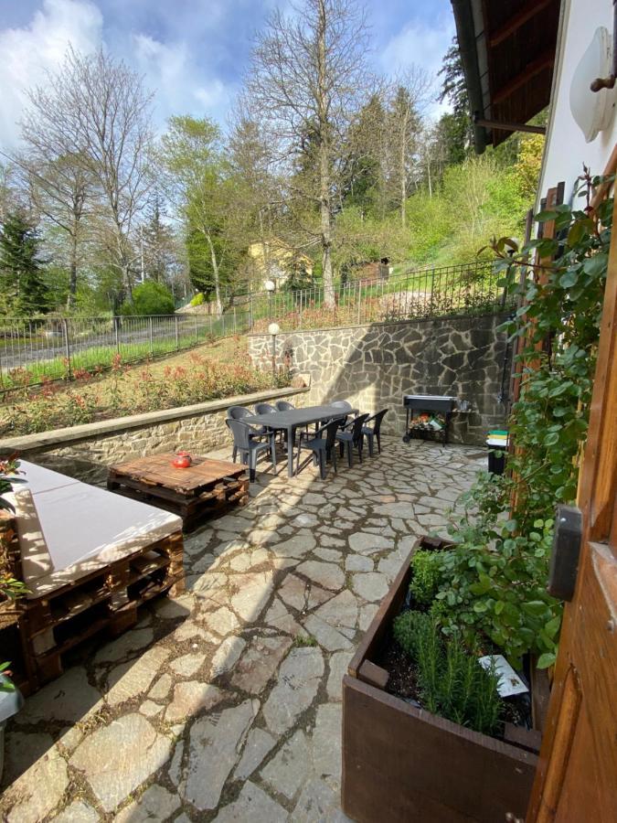 Agriturismo Borgo Nuovo Di Mulinelli Arezzo Luaran gambar