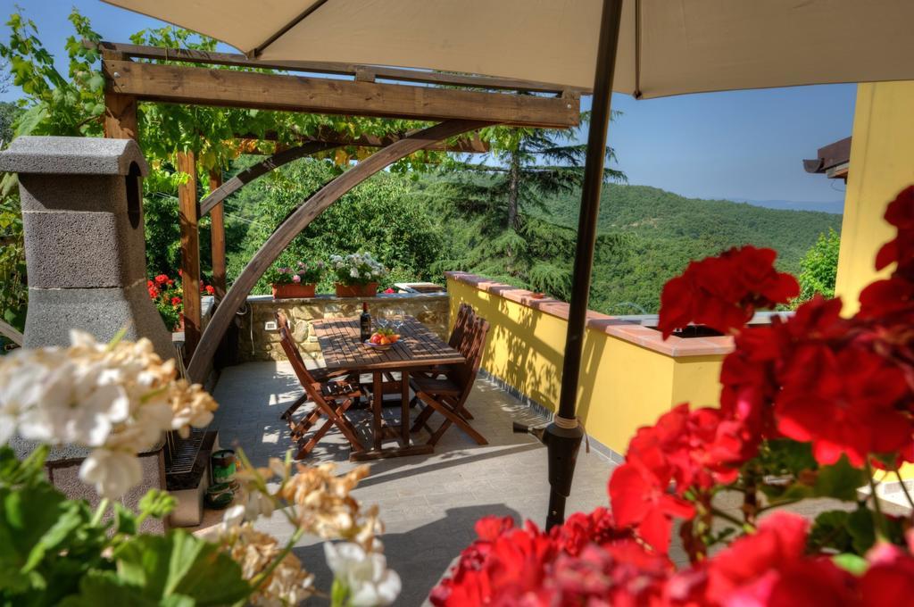 Agriturismo Borgo Nuovo Di Mulinelli Arezzo Luaran gambar